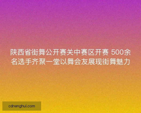 陕西省街舞公开赛关中赛区开赛 500余名选手齐聚一堂以舞会友展现街舞魅力